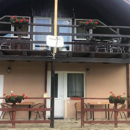 Casa Albert Valea Avrigului Ngoại thất bức ảnh