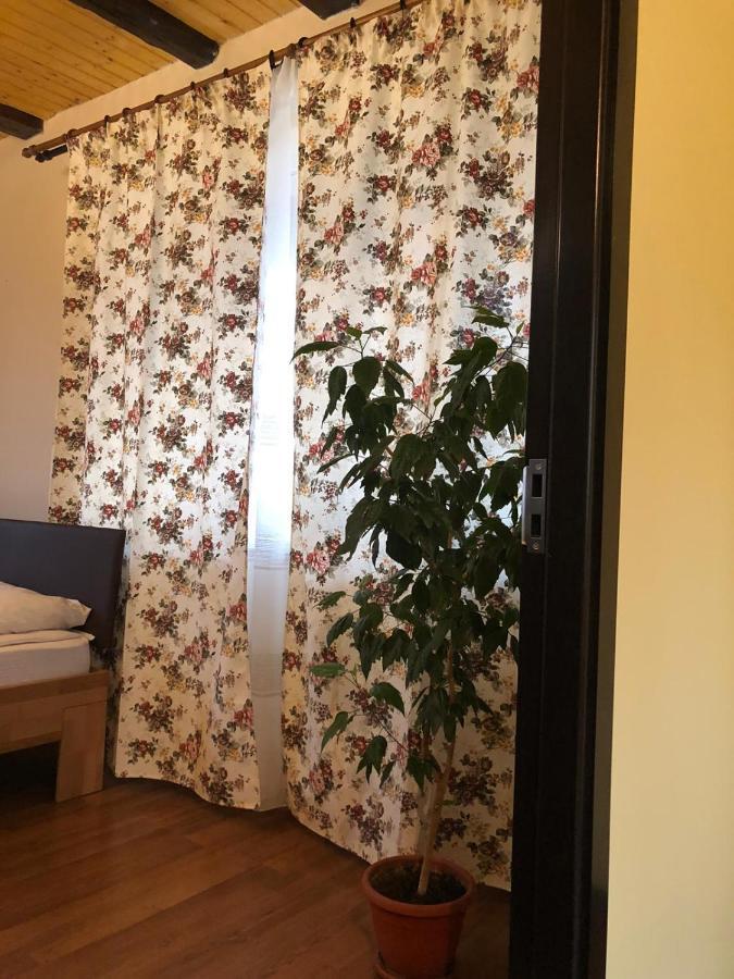Casa Albert Valea Avrigului Ngoại thất bức ảnh
